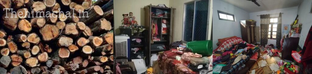 अवैध कटान मामले में वन विभाग ने वनरक्षक किया निलंबित,