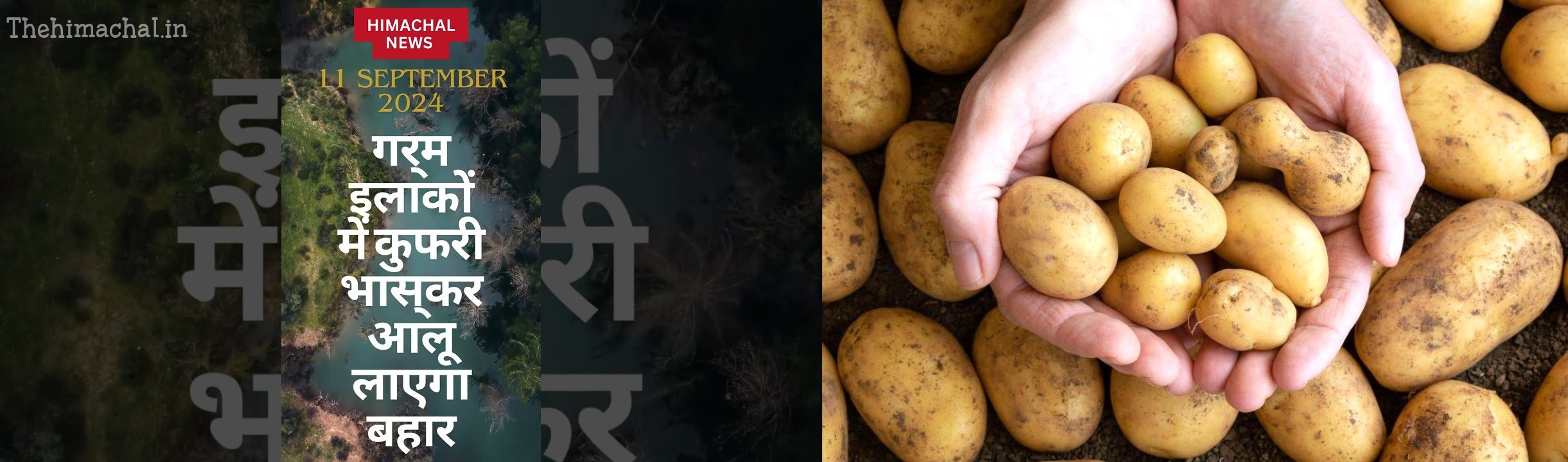 गर्म इलाकों में कुफरी भास्कर आलू लाएगा बहार