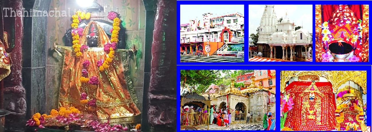 नवरात्रि: एक लाख 11 हजार श्रद्धालुओं ने देवियों से प्राप्त किया आशीर्वाद