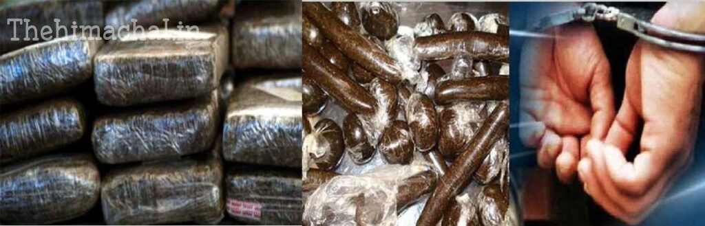 कुल्लू पुलिस ने बड़ी सफलता हासिल करते हुए एक तस्कर को गिरफ्तार
