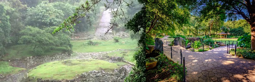 forest-department-50-projects-sent-to-delhi-eco-tourism-sites-development