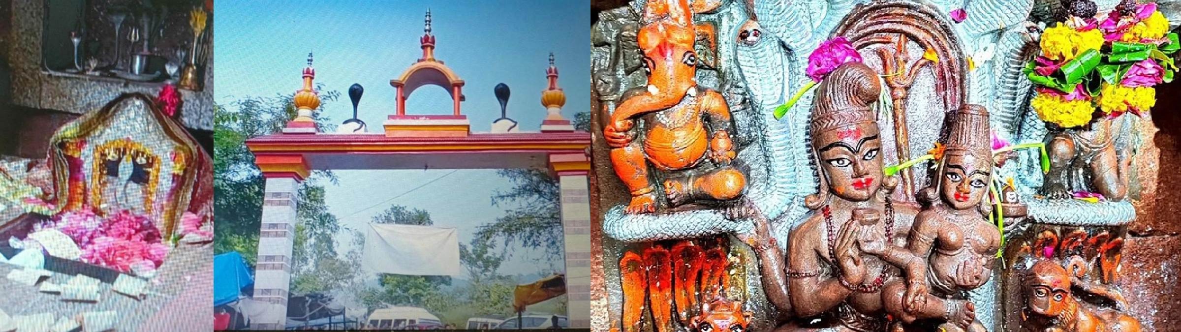 नाग मंदिर करियाड़ा