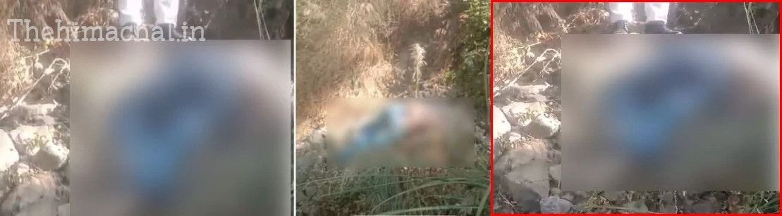 घुमारवीं के लापता पंचायत