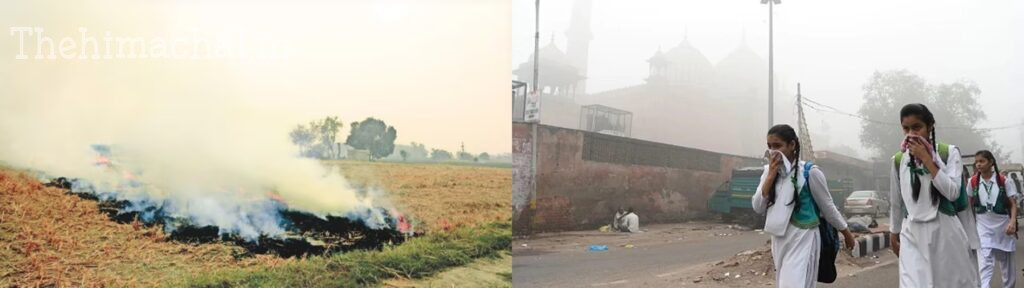 "pollution-cases-environment-secretary-powers-act-amendment"