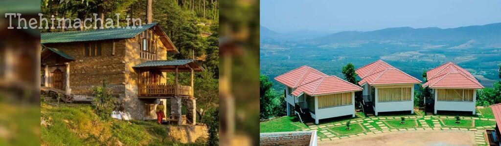 himachali-people-home-stay-hp-news