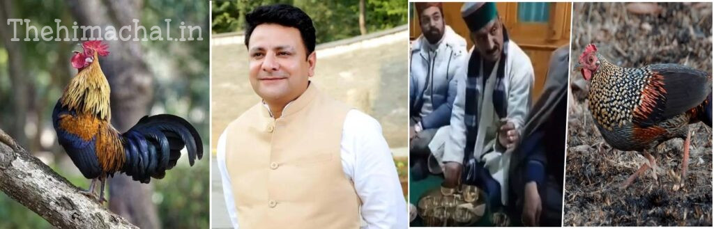 jungle-murga-case-fir-against-sudhir-sharma-and-5-others