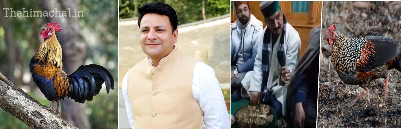 jungle-murga-case-fir-against-sudhir-sharma-and-5-others