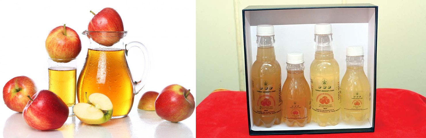 low-grade-apple-carbonated-juice-himachal