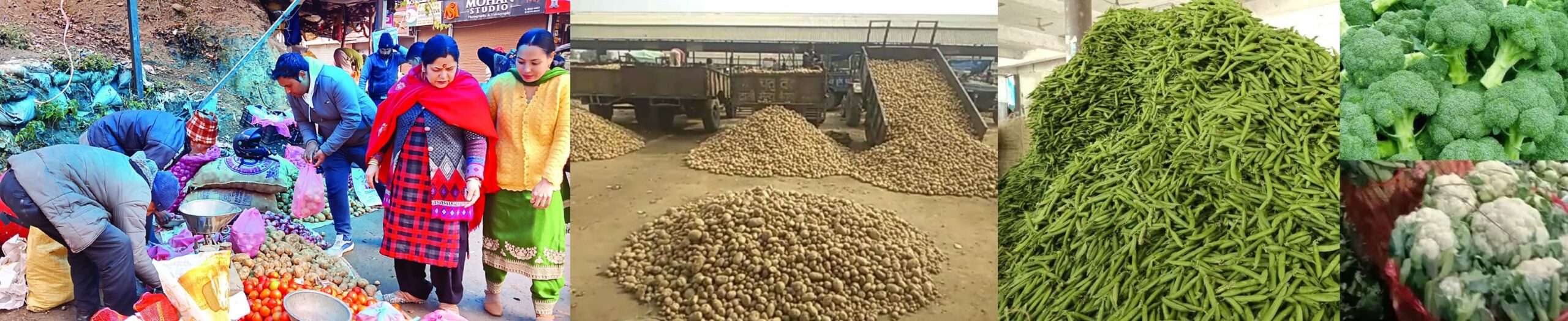 solan-kisan-janta-mandi-vegetable-prices