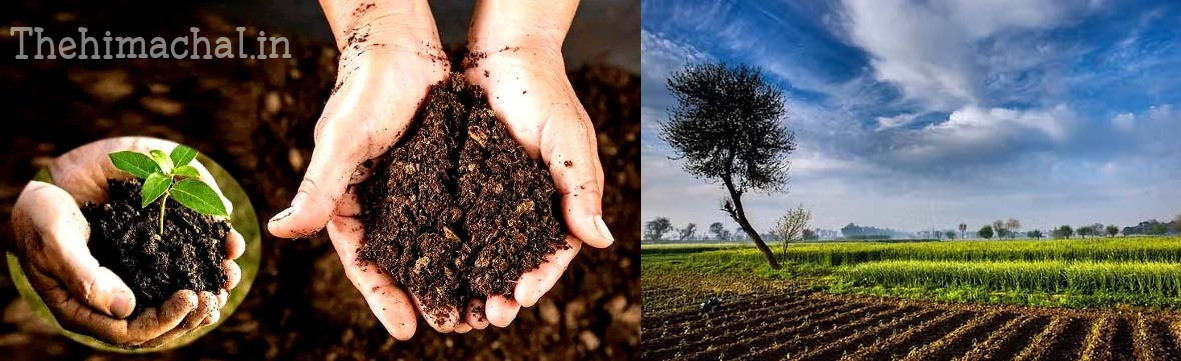 himachal-state-natural-farming-cell-formed
