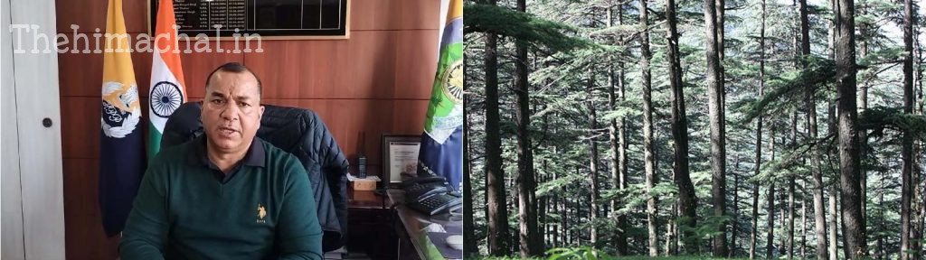 hamirpur-illegal-hunting-forest-officials-gunshot-case-registered