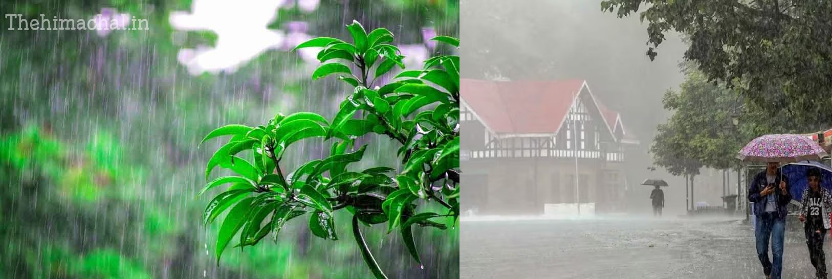 himachal-weather-19-february-rain-snowfall-alert
