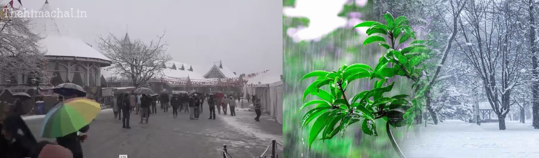himachal-barish-barfbari-orange-alert-today