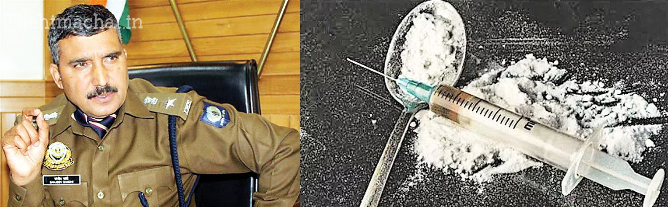 himachal-drug-racket-chitta-smuggling-network-
