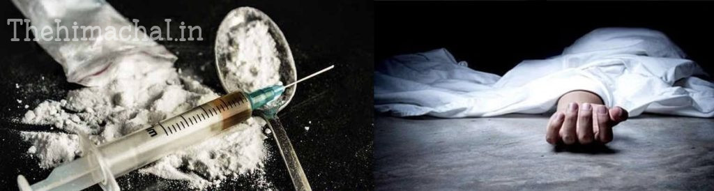 chitta-overdose-death-shrinayanadevi-guest-house-body-found