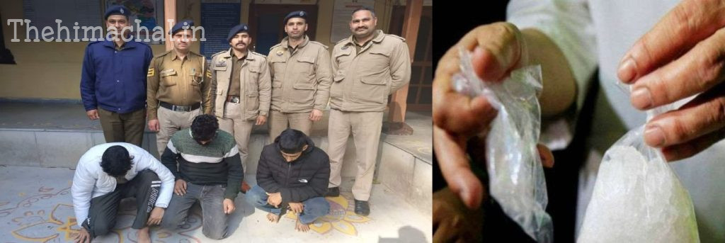 chitta-seized-from-three-youths-in-manali-supply-network-under-investigation