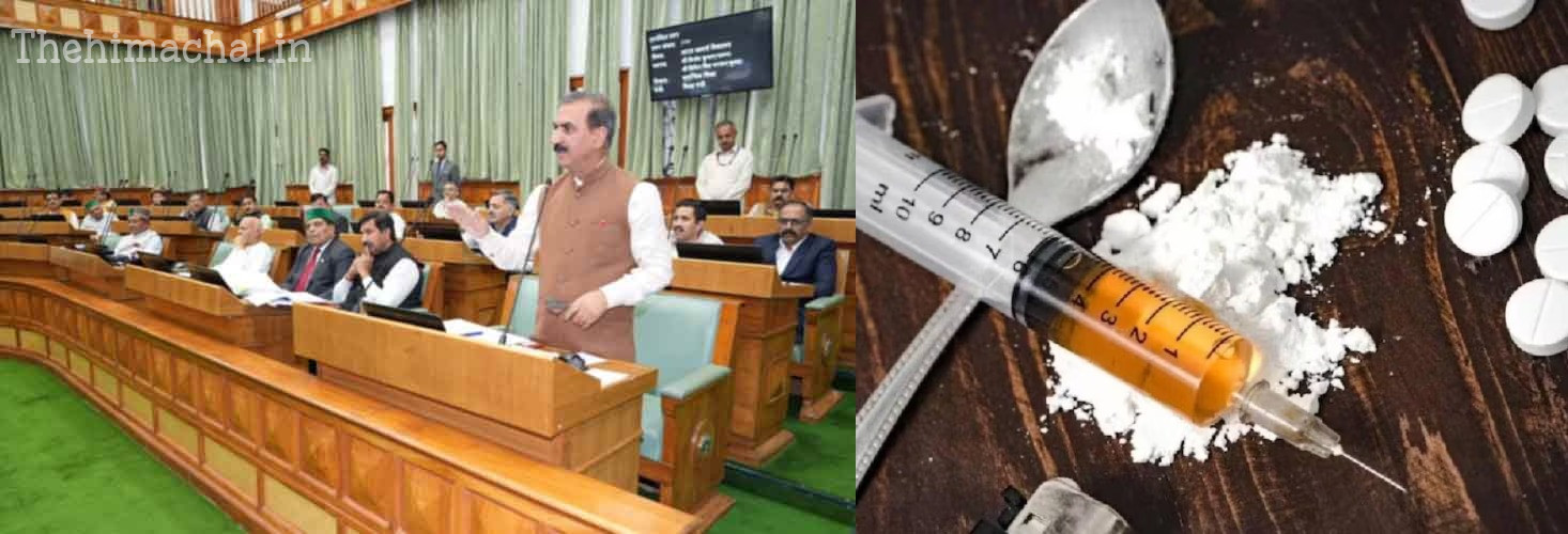 himachal-vidhan-sabha-cm-sukhwinder-announces-action-on-60-officers-involved-in-drug-trafficking