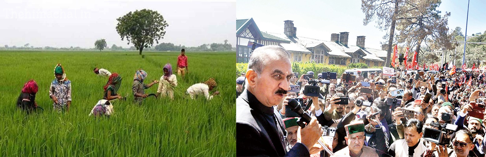 himachal-cm-sukhvinder-sukhu-farmers-welfare-priority