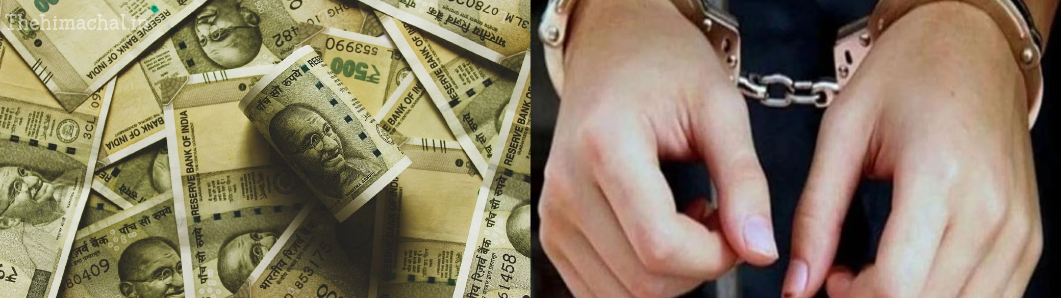 himachal-avaidh-karobar-society-crore-fraud-police-investigation