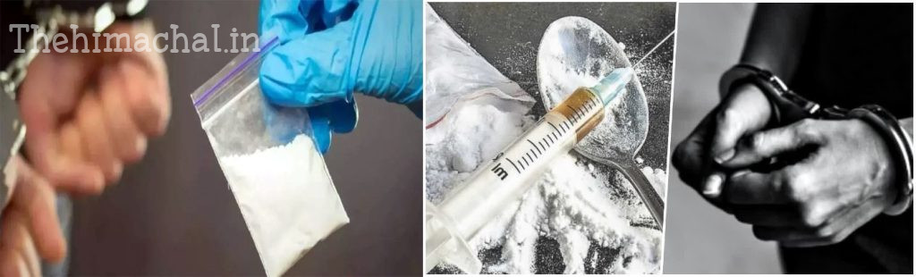shimla-rampur-interstate-drug-smuggler-sonu-gang-busted-9-arrested