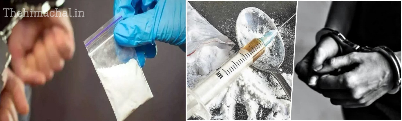 shimla-rampur-interstate-drug-smuggler-sonu-gang-busted-9-arrested
