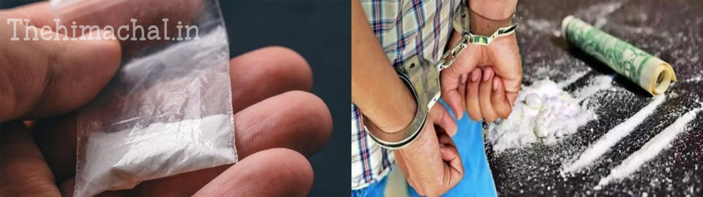 kangra-10-years-16kg-chitta-3247-drug-peddlers-arrested