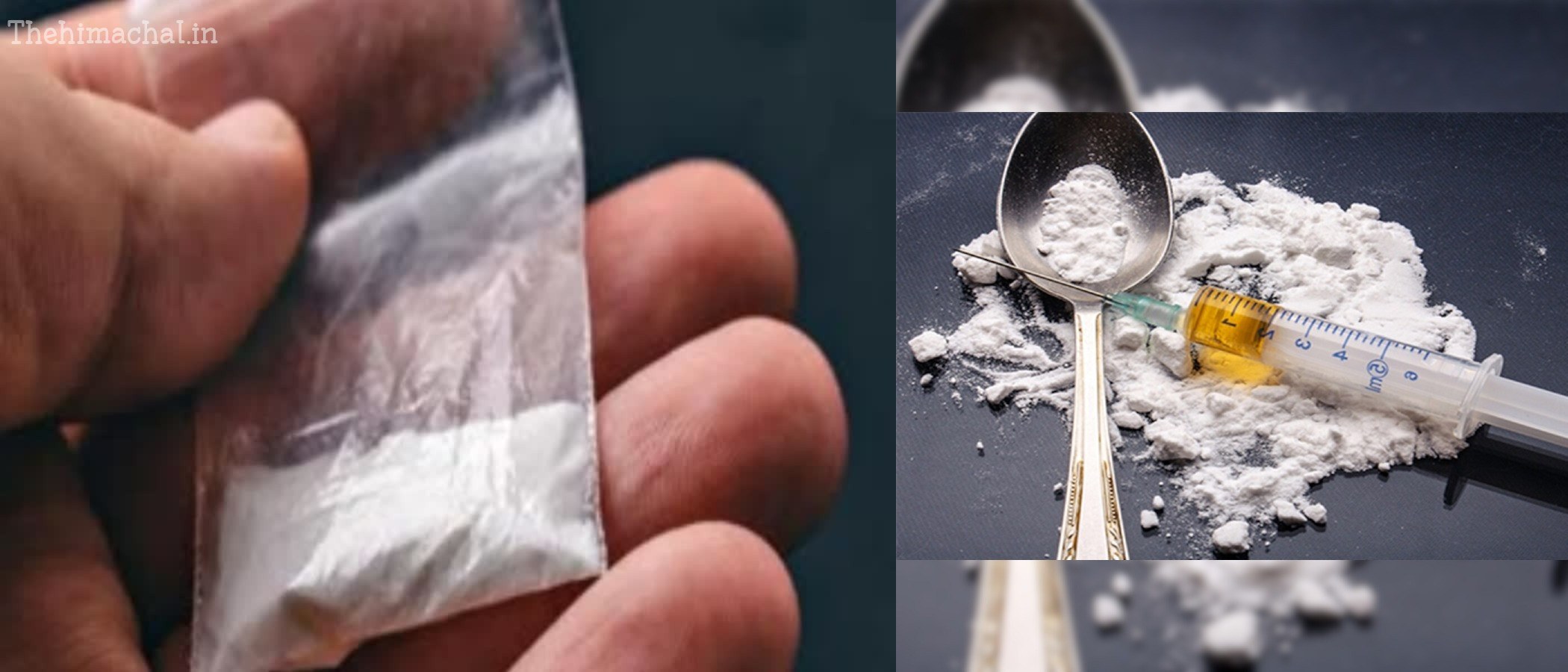 himachal-drug-cases-97-chitta-seized-874-grams