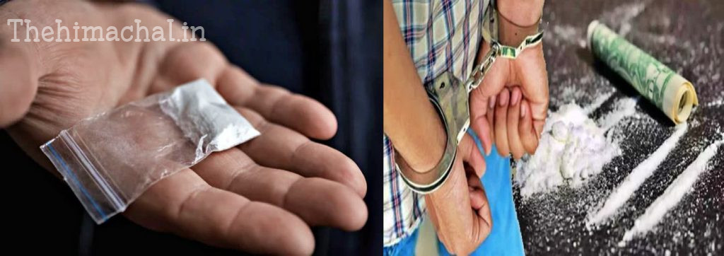 kullu-90-gram-chitta-seized-ludhiana-smuggler-arrested