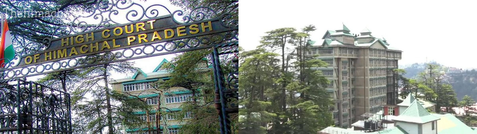 कृषि विश्वविद्यालय के कुलपति की नियुक्ति रद्द, हाईकोर्ट का बड़ा फैसला