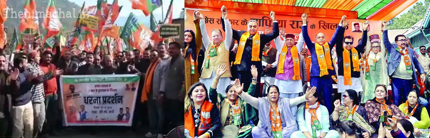 himachal-bjp-protest-shimla-sukhvinder-singh-sukhu-guarantees-mafia-raj