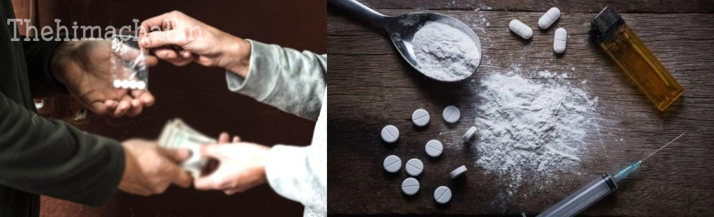 drug-trafficking-pit-ndps-act-8-arrested