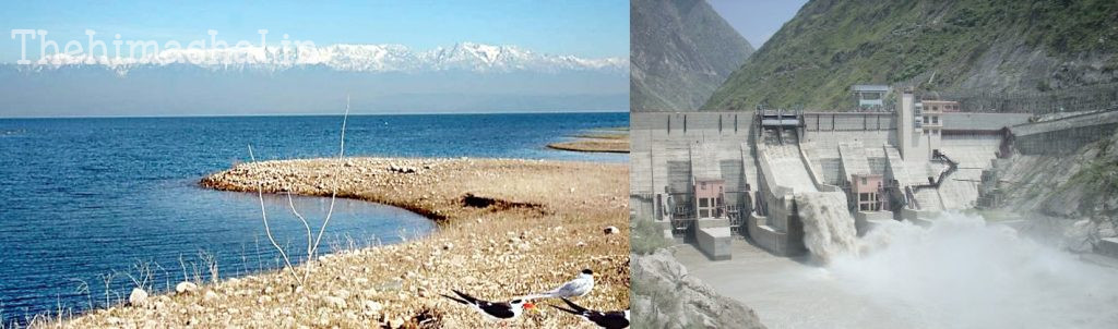 low-rainfall-himachal-dams-water-level-drop-impact