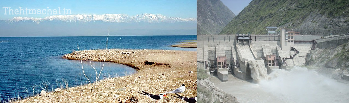 low-rainfall-himachal-dams-water-level-drop-impact