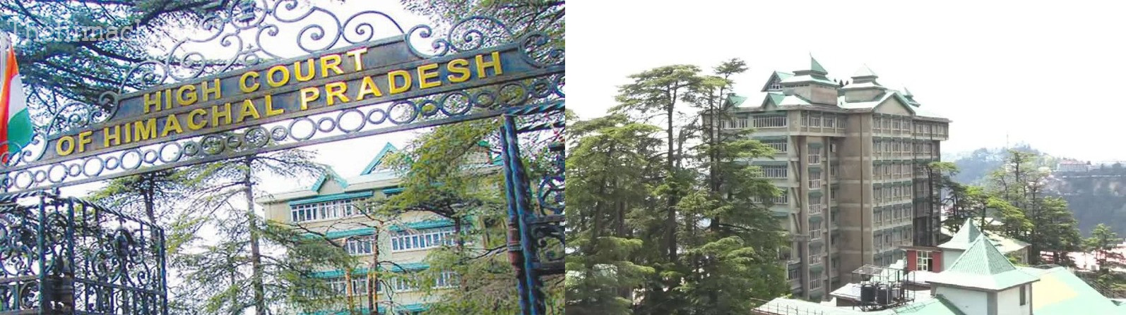 himachal-high-court-disputed-contractor-bills-payment-jurisdiction