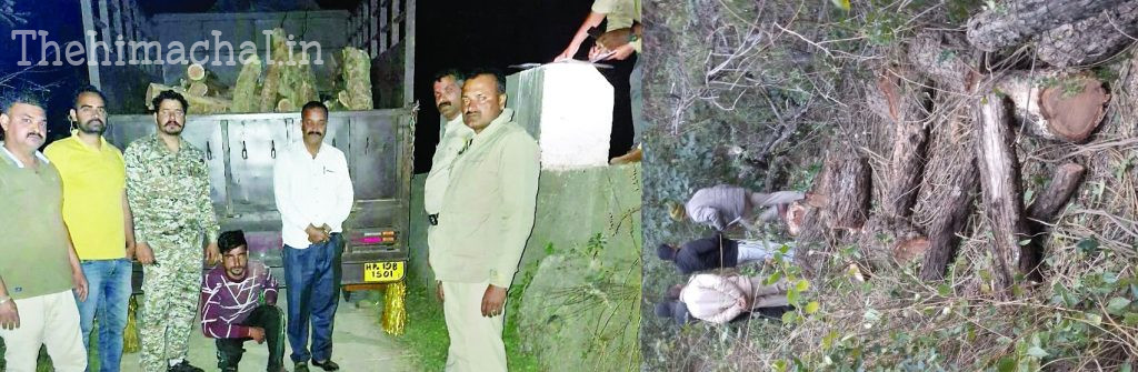 khair-wood-smuggling-36-logs-seized-one-arrested