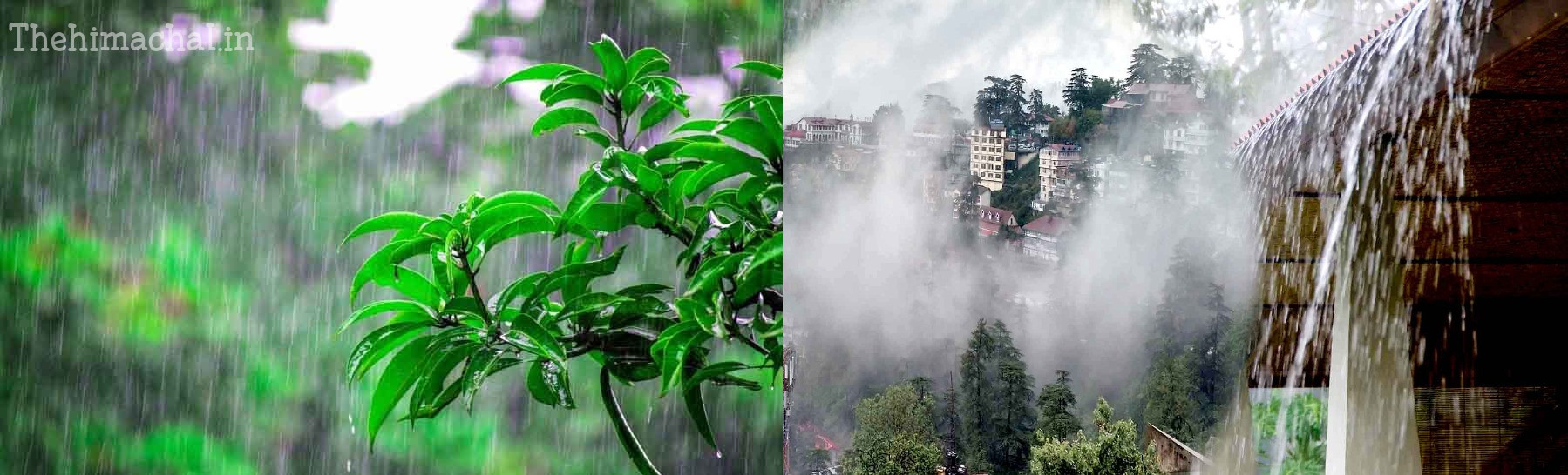 Himachal Weather Alert: आज 8 जिलों में भारी बारिश का येलो अलर्ट, मौसम का बदला मिजाज