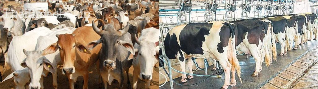 entry-of-domestic-animals-in-panchayat-family-register