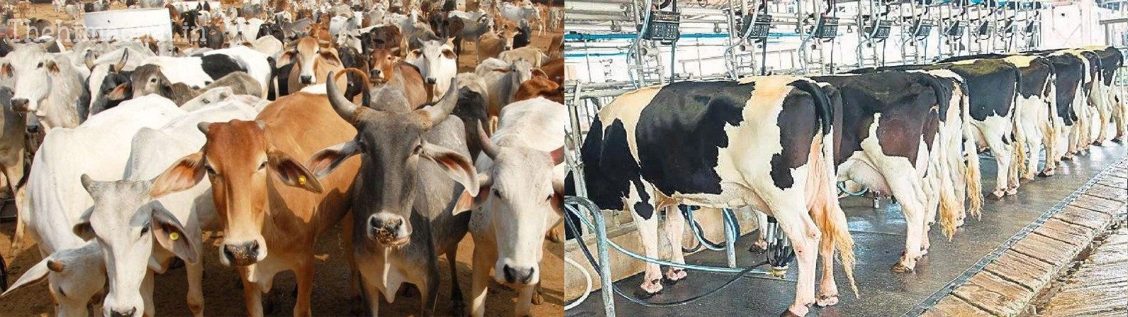 entry-of-domestic-animals-in-panchayat-family-register