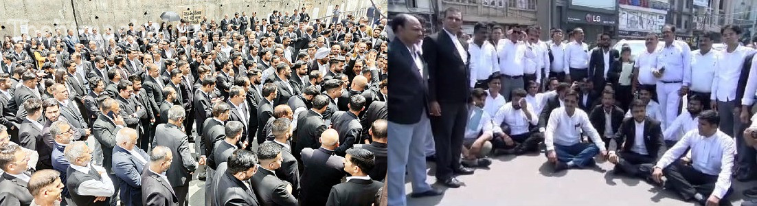 छोटा शिमला थाने के बाहर वकीलों का विरोध प्रदर्शन, पुलिस के खिलाफ लगे नारे