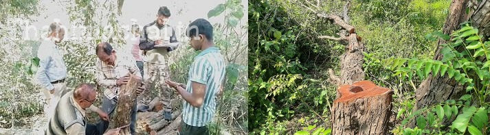 Una News: गगरेट में खैर की तस्करी नाकाम, 49 मोछों के साथ वाहन पकड़ा
