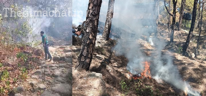 Kangra News: सुरानी से टेढ़ा मंदिर तक पहुंची आग की लपटें, Forest Fire से मचा हड़कंप