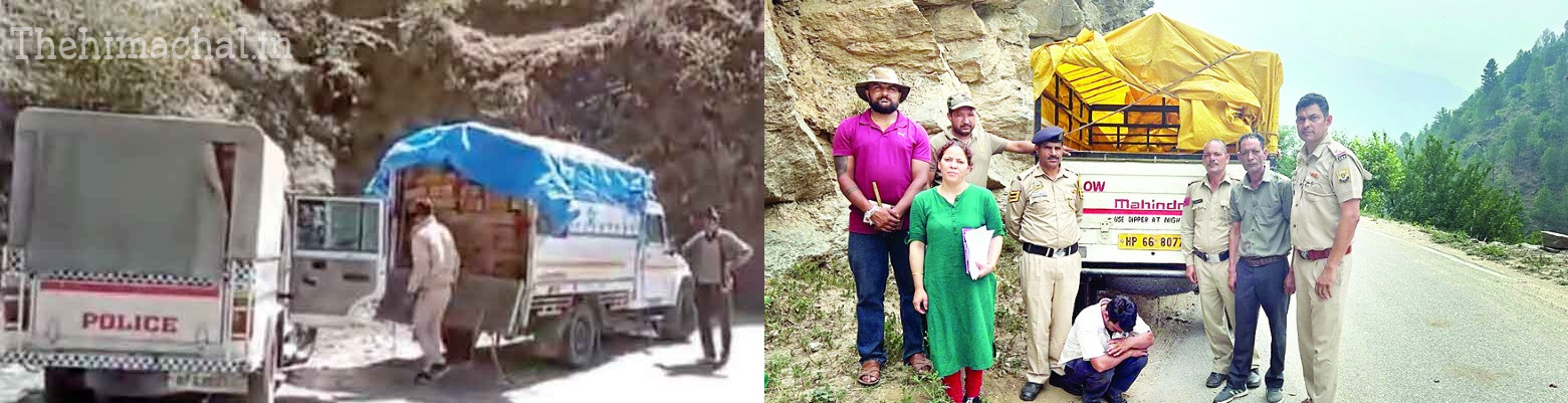 सराज में टिप्पर से बरामद हुए देवदार के 50 स्लीपर, चालक गाड़ी छोड़कर फरार