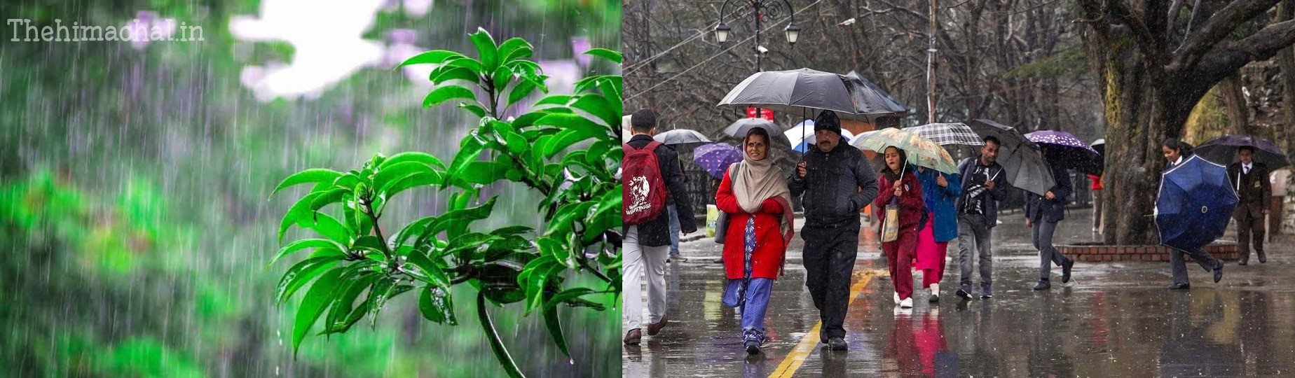 hp-weather-alert-rain-hailstorm-thunderstorm-till-29-may
