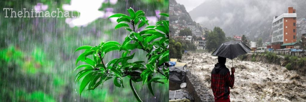 himachal-weather-alert-rain-hailstorm-yellow-orange-warning-may-2025