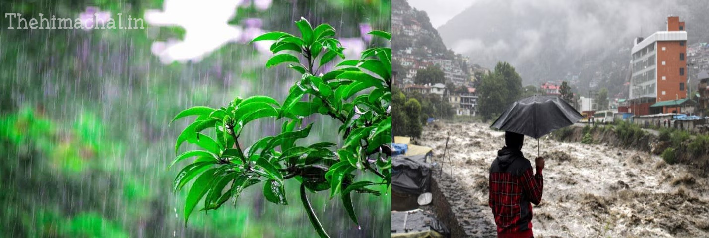 himachal-weather-alert-rain-hailstorm-yellow-orange-warning-may-2025