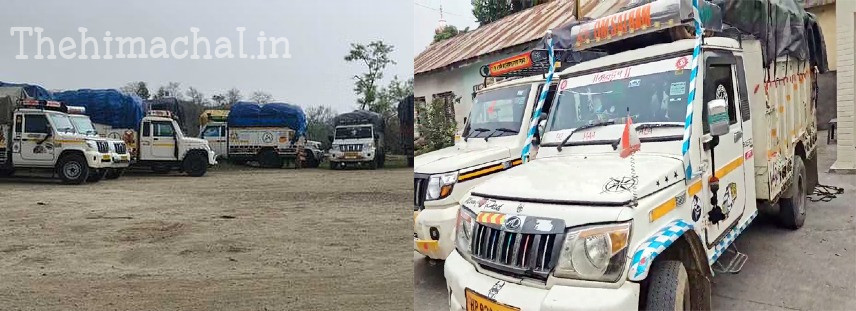 una-banned-wood-transport-trucks-caught
