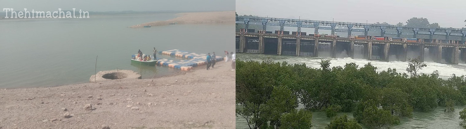 pong-dam-water-level-rises-2-feet-in-2-days