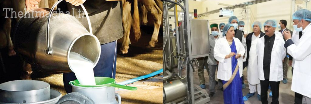 dairy-sector-growth-rural-economy-2-32-lakh-litres-milk-purchase
