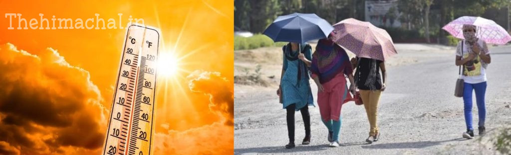 una-heatwave-14-children-fall-ill-summer-health-alert
