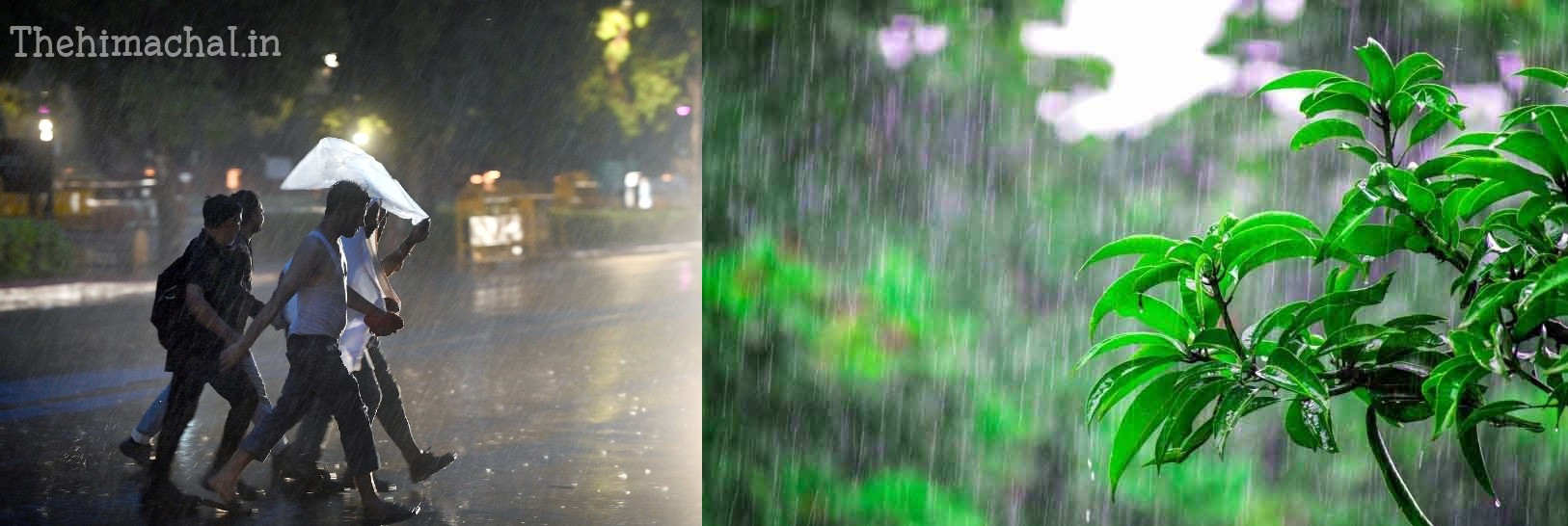 himachal-monsoon-yellow-alert-in-five-districts-weather-update